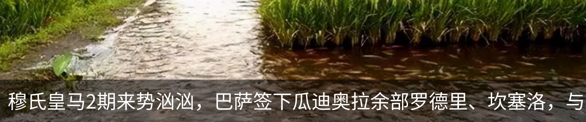 资讯动态